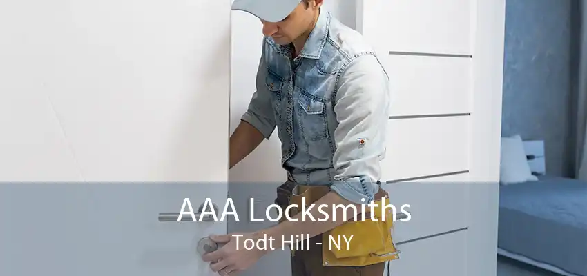 AAA Locksmiths Todt Hill - NY