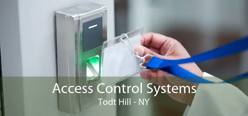 Access Control Systems Todt Hill - NY