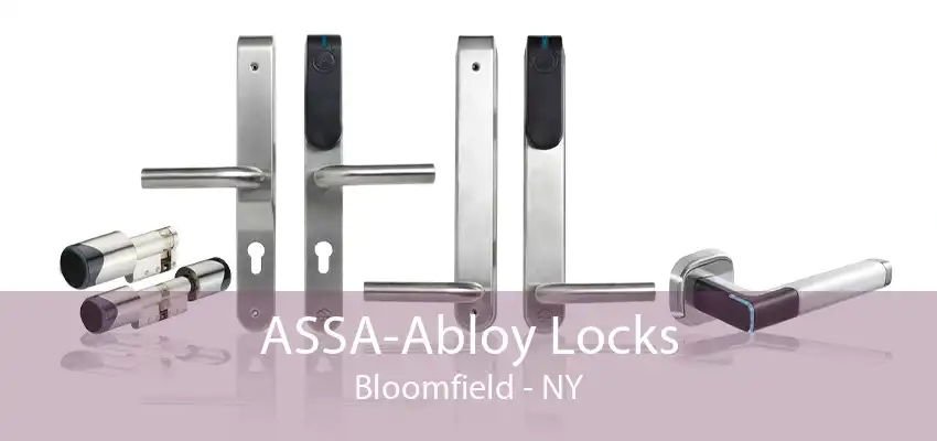 ASSA-Abloy Locks Bloomfield - NY