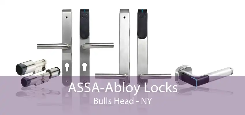 ASSA-Abloy Locks Bulls Head - NY