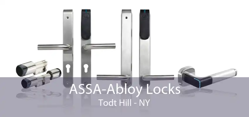 ASSA-Abloy Locks Todt Hill - NY