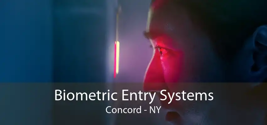Biometric Entry Systems Concord - NY
