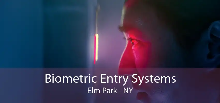 Biometric Entry Systems Elm Park - NY