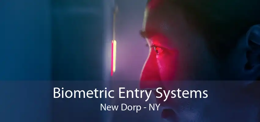 Biometric Entry Systems New Dorp - NY