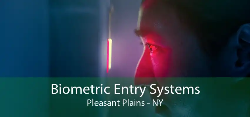 Biometric Entry Systems Pleasant Plains - NY