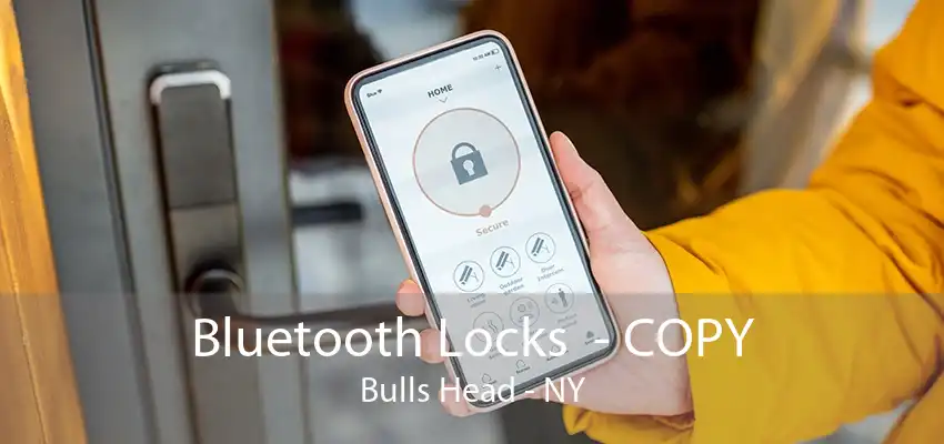 Bluetooth Locks  - COPY Bulls Head - NY
