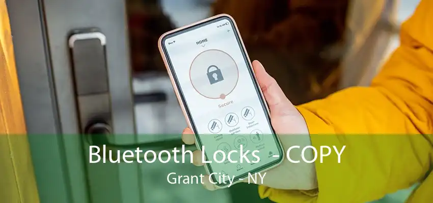 Bluetooth Locks  - COPY Grant City - NY