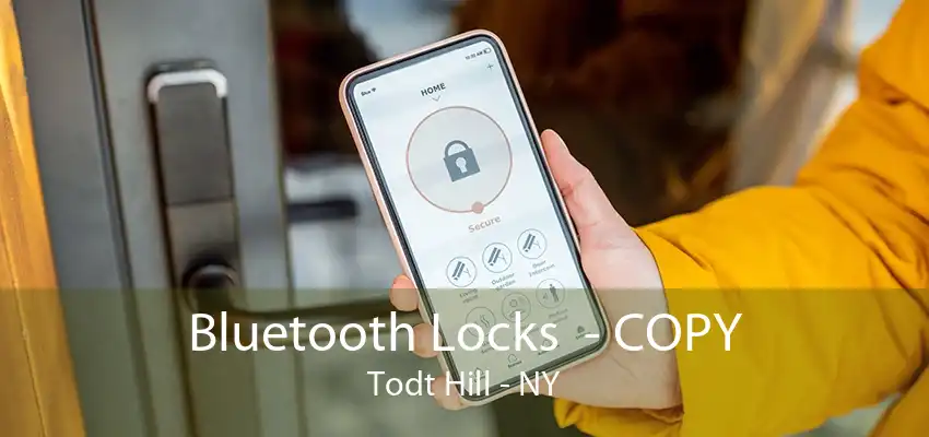Bluetooth Locks  - COPY Todt Hill - NY