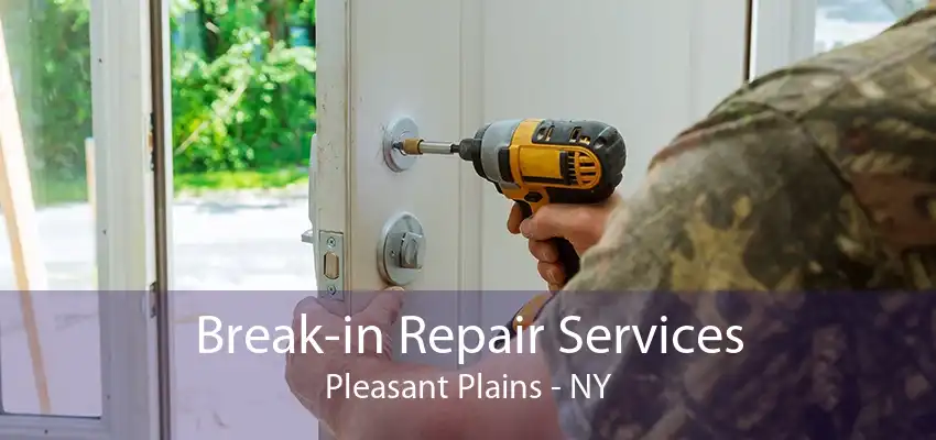 Break-in Repair Services Pleasant Plains - NY