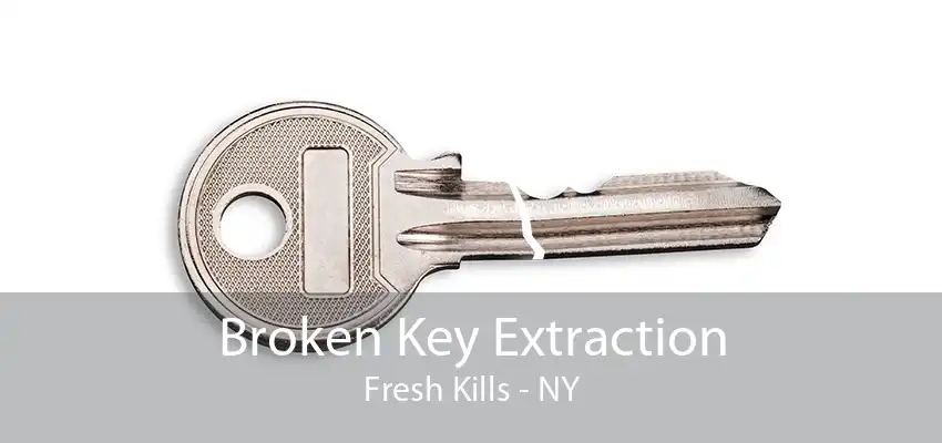 Broken Key Extraction Fresh Kills - NY