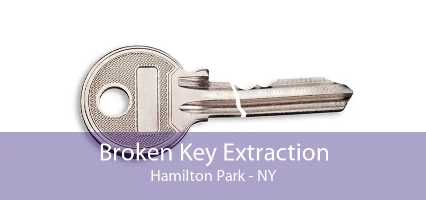 Broken Key Extraction Hamilton Park - NY