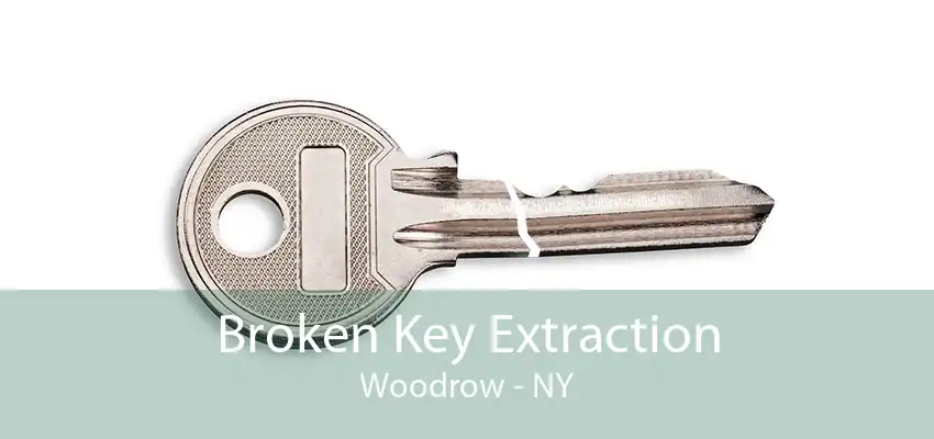 Broken Key Extraction Woodrow - NY