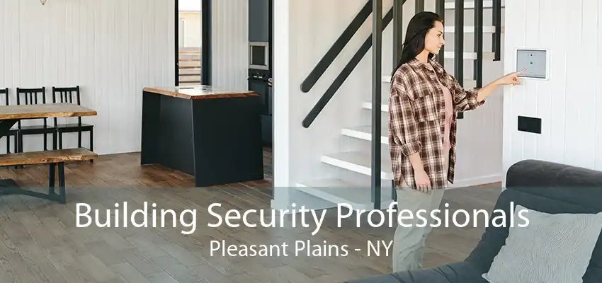 Building Security Professionals Pleasant Plains - NY
