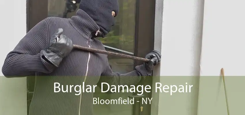 Burglar Damage Repair Bloomfield - NY