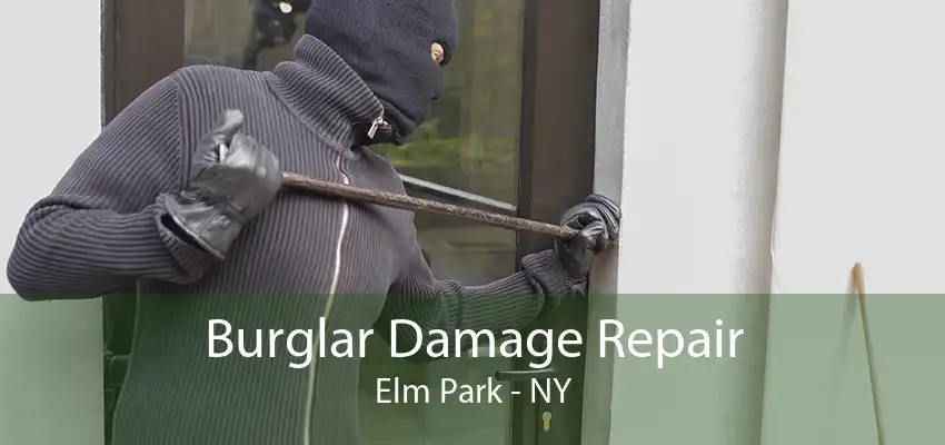 Burglar Damage Repair Elm Park - NY