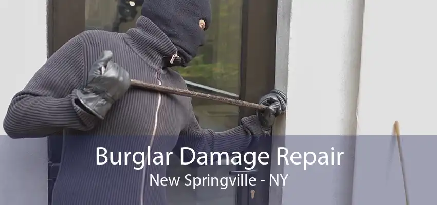 Burglar Damage Repair New Springville - NY