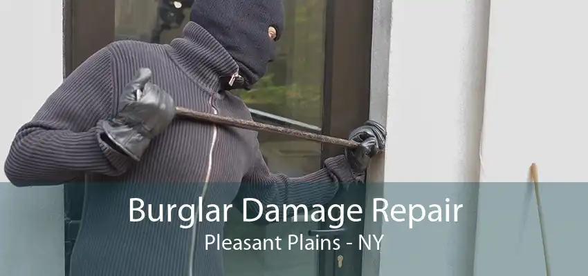 Burglar Damage Repair Pleasant Plains - NY