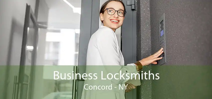 Business Locksmiths Concord - NY