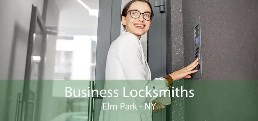 Business Locksmiths Elm Park - NY