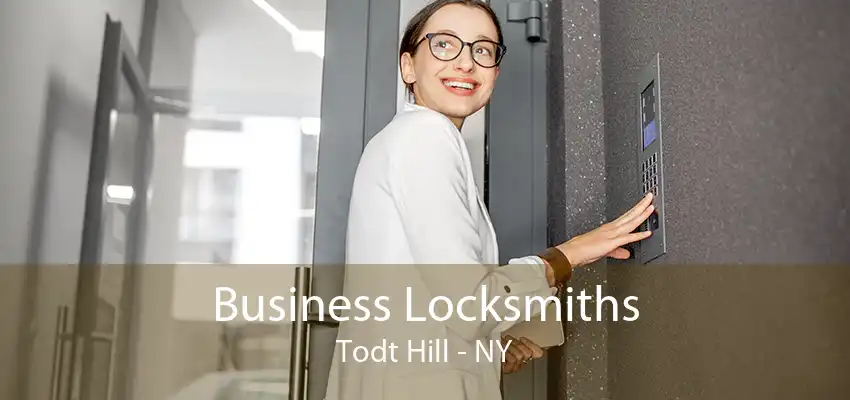 Business Locksmiths Todt Hill - NY