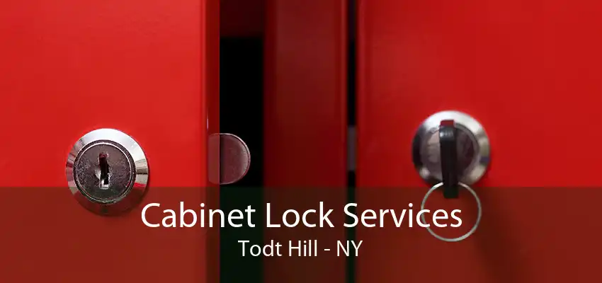 Cabinet Lock Services Todt Hill - NY