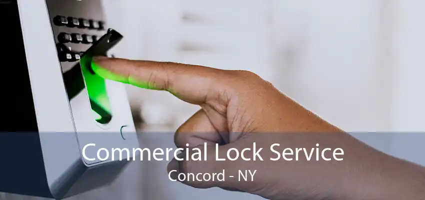 Commercial Lock Service Concord - NY
