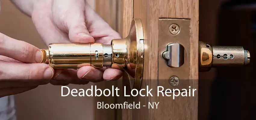 Deadbolt Lock Repair Bloomfield - NY