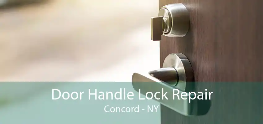 Door Handle Lock Repair Concord - NY