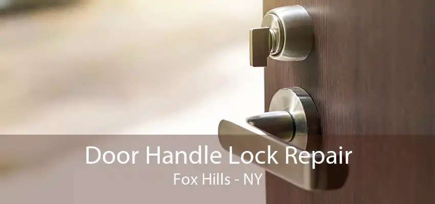 Door Handle Lock Repair Fox Hills - NY