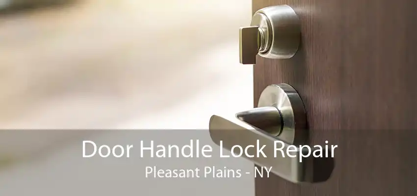 Door Handle Lock Repair Pleasant Plains - NY