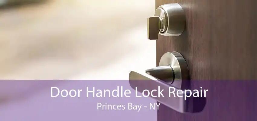 Door Handle Lock Repair Princes Bay - NY
