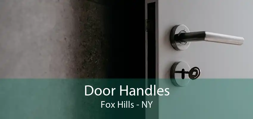 Door Handles Fox Hills - NY