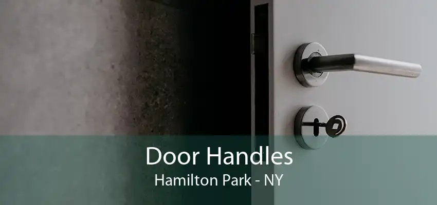 Door Handles Hamilton Park - NY