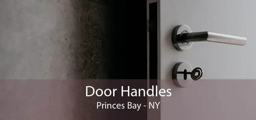 Door Handles Princes Bay - NY