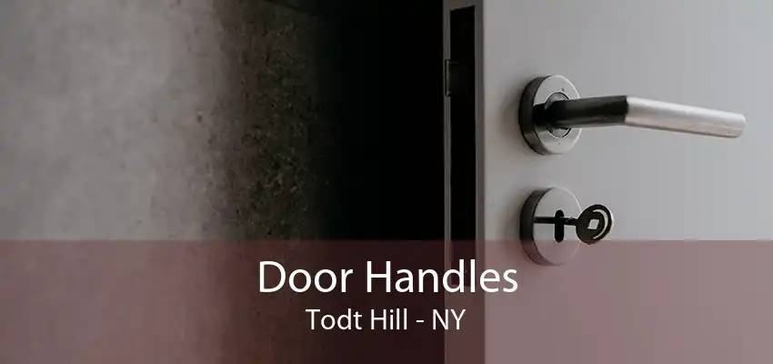 Door Handles Todt Hill - NY