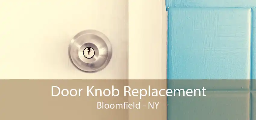 Door Knob Replacement Bloomfield - NY