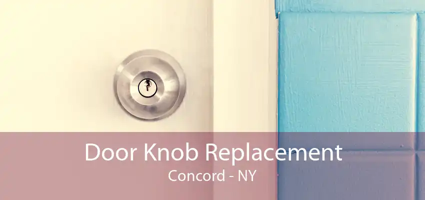Door Knob Replacement Concord - NY