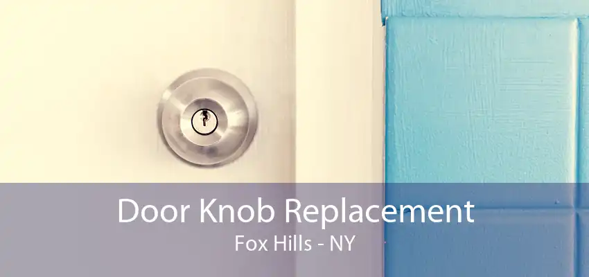 Door Knob Replacement Fox Hills - NY