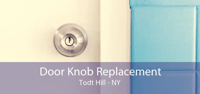 Door Knob Replacement Todt Hill - NY