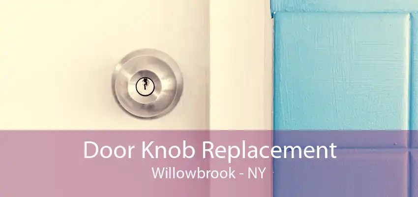 Door Knob Replacement Willowbrook - NY