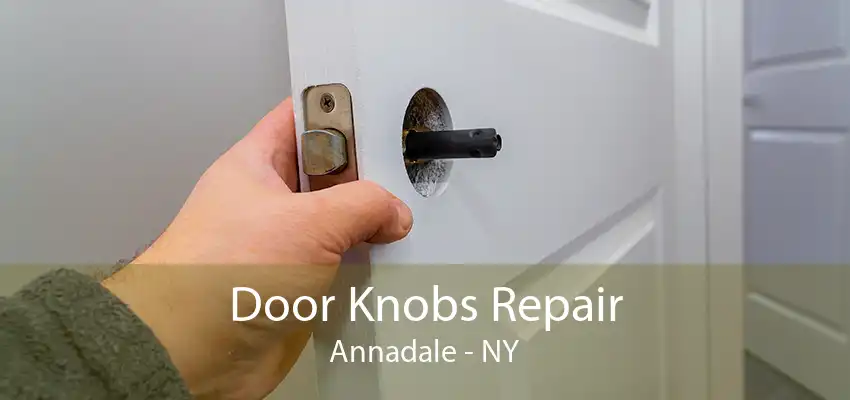 Door Knobs Repair Annadale - NY