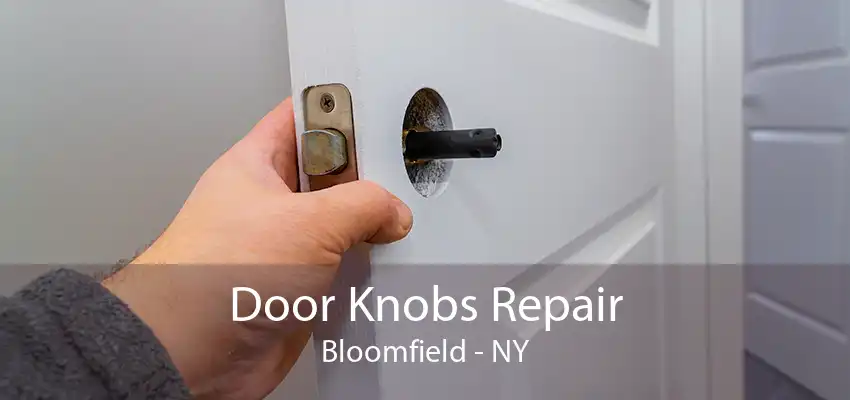 Door Knobs Repair Bloomfield - NY