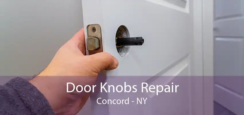 Door Knobs Repair Concord - NY