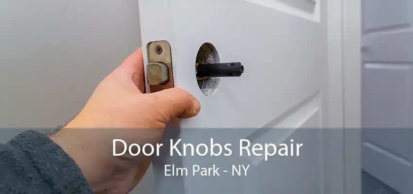 Door Knobs Repair Elm Park - NY
