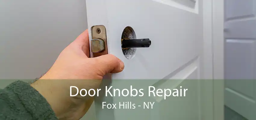 Door Knobs Repair Fox Hills - NY