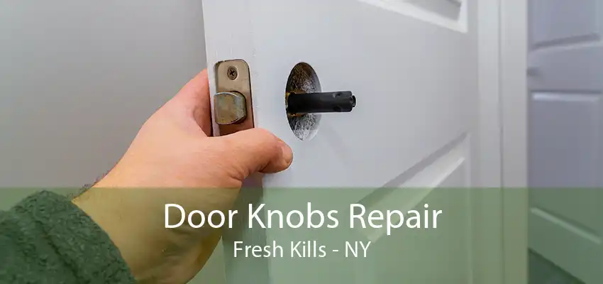 Door Knobs Repair Fresh Kills - NY
