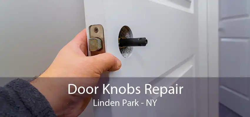 Door Knobs Repair Linden Park - NY