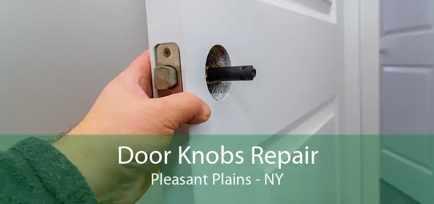 Door Knobs Repair Pleasant Plains - NY