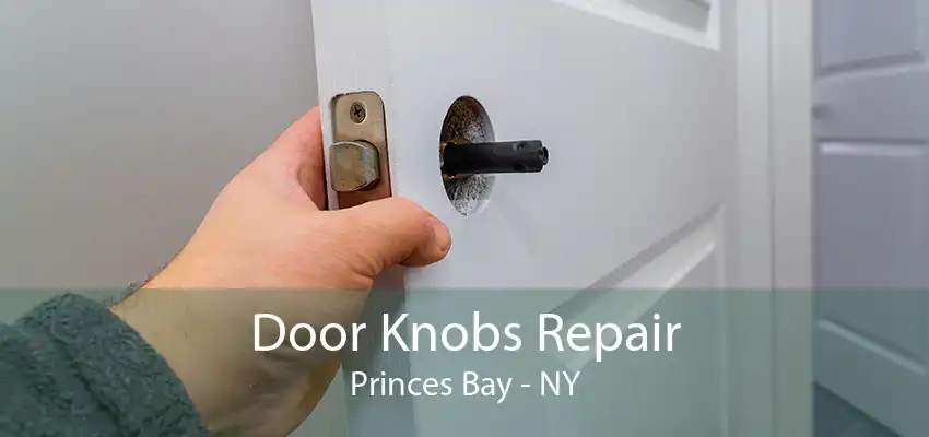 Door Knobs Repair Princes Bay - NY
