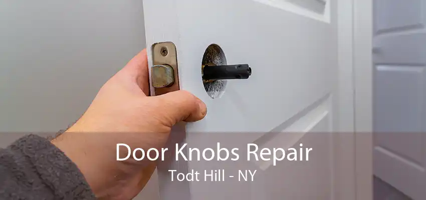 Door Knobs Repair Todt Hill - NY